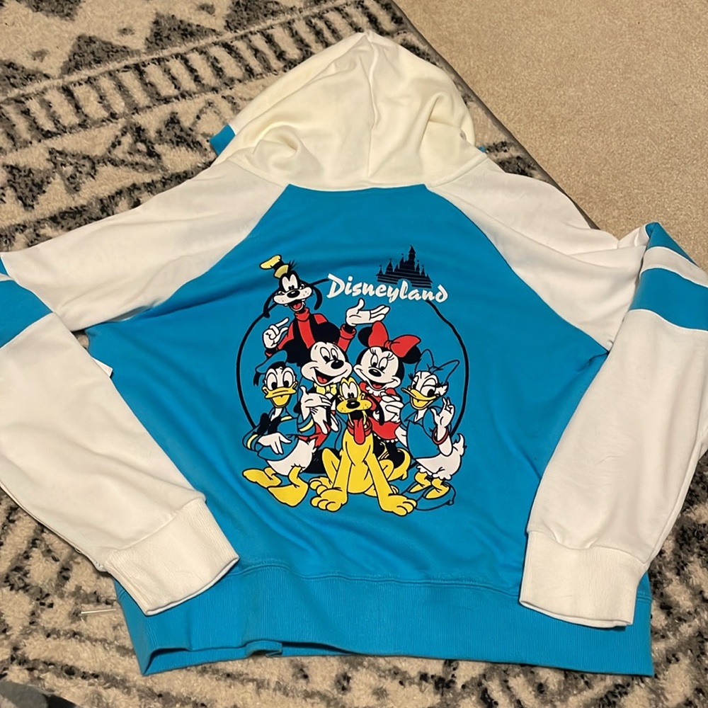 Disneyland Blue Mickey & Friends zip up hoodie